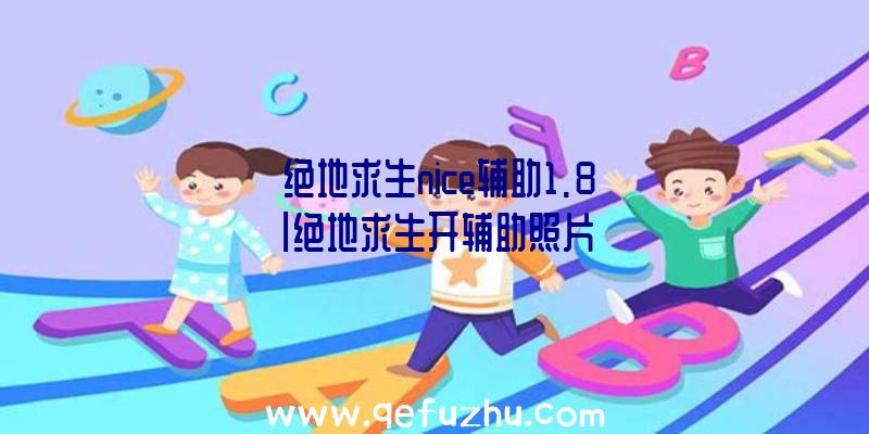 「绝地求生nice辅助1.8」|绝地求生开辅助照片